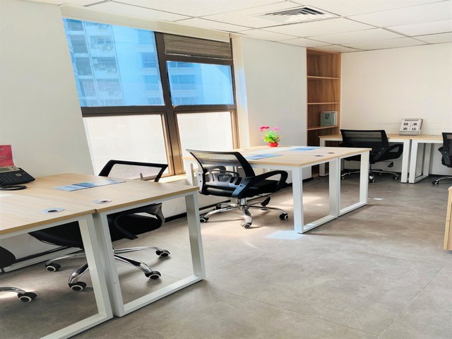 富源二代魔芋种子批发基地